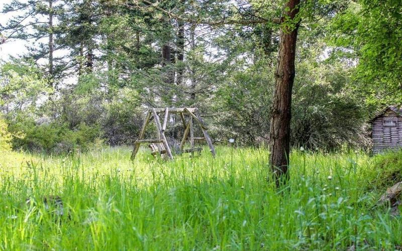 5e9c74f4 2a82 40d2 9cdd 7191acd0d317 homerunner