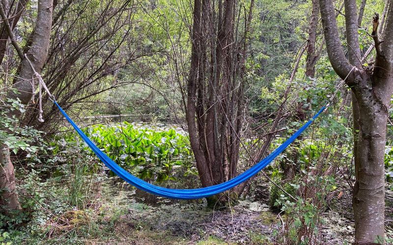 5f4545a3 19e2 4fe2 830b 5a4506e127f3 homerunner