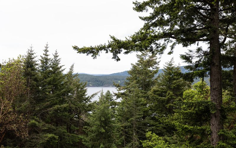 6015bbb7 9453 4f83 b3f2 d31b982c55c2 homerunner