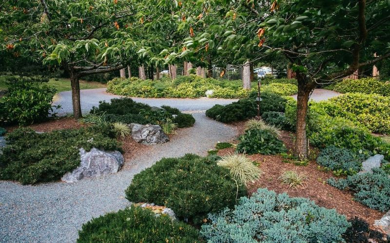 61df4e4b f679 4689 841d 6c3dbf7d1d6b homerunner