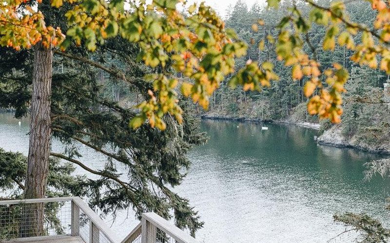 646ef056 a022 49ff a3b1 ecd2d0fc3f38 homerunner