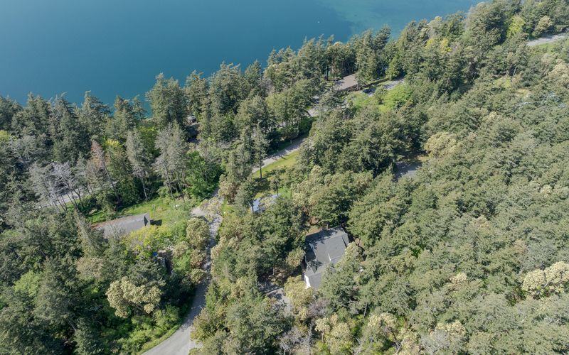 683deaf6 ee2c 4f32 917f 0d24c9a40b1e homerunner