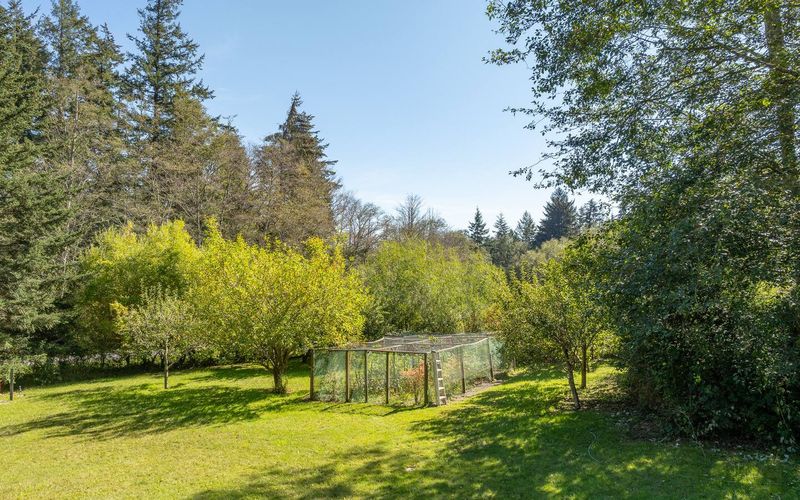 684ad87b 57c6 4894 b2fa 5283acc78874 homerunner