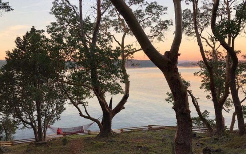 6dacf4cb 8e57 4949 be13 86b5f93bc32c homerunner