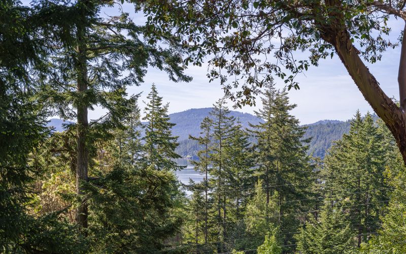 6db0b276 1339 4461 b886 affd6ba789b2 homerunner