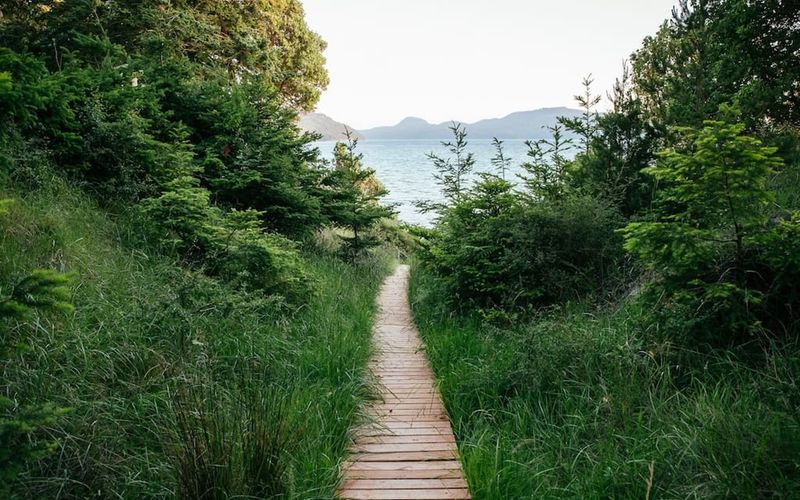 72291827 2f93 42ba be51 0610d6c388e7 homerunner