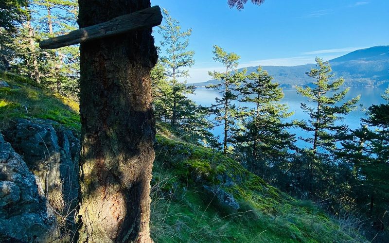 733f3880 1c0e 4248 a296 27b948e02555 homerunner