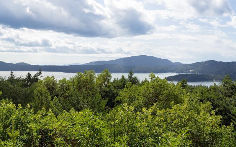 7709a887 44e0 4842 9264 73631df6be05 homerunner