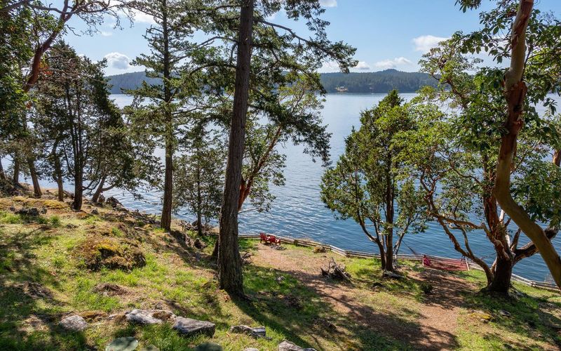 8062666e 8287 4812 b897 ae013fff3768 homerunner