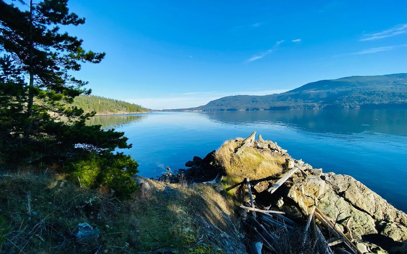 80cd5cd4 91f7 48cc 84b2 57dfc4c6bca4 homerunner