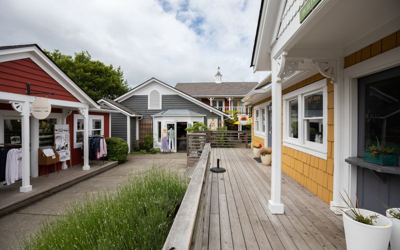 83d9a09f 6d56 45fd b66f bbe8a38c1086 homerunner