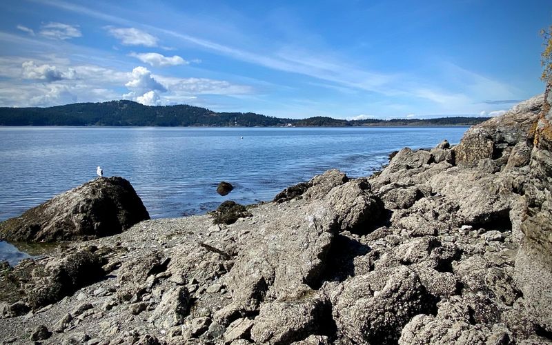 8bb60c57 b8f0 455c 9f8d 85b9985de9df homerunner