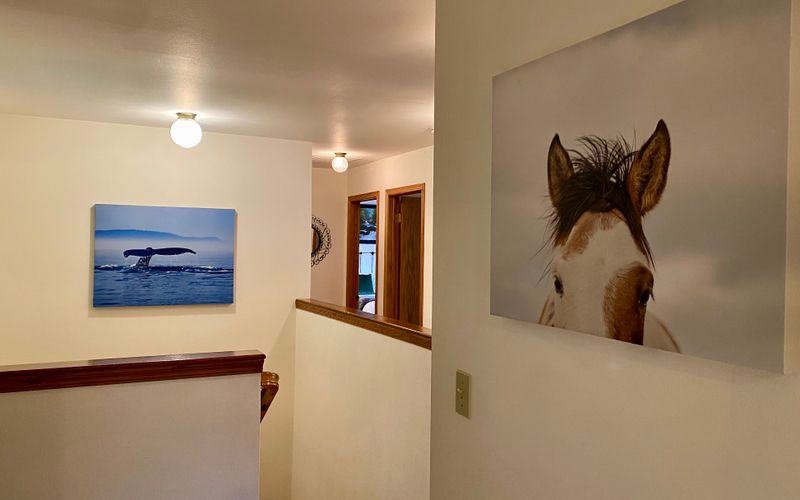 9004f4a0 3c64 45c2 a660 8bf7e38c00ea homerunner