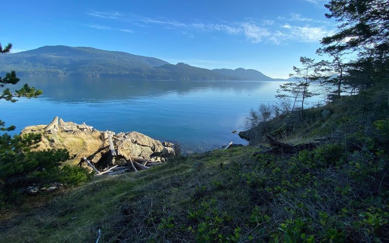 9c9f9901 6755 4702 8deb 8d3a6b979d79 homerunner