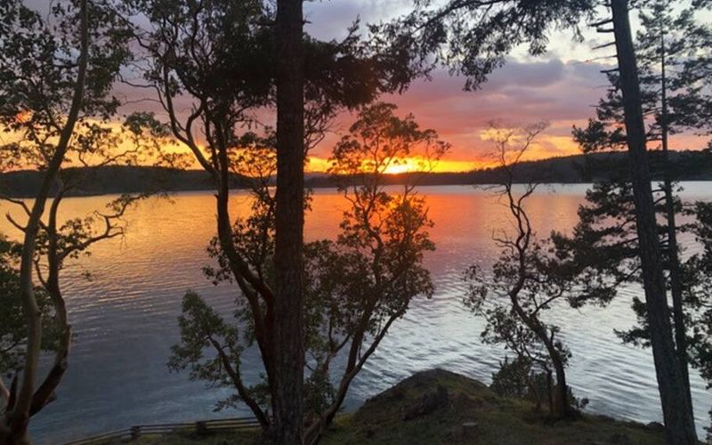 9cbbde2b c1d9 4b81 b483 4b339f6eda7a homerunner