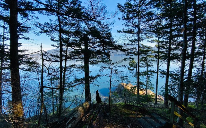 9ebce3df 5baa 439d a0ae 3edc12664766 homerunner