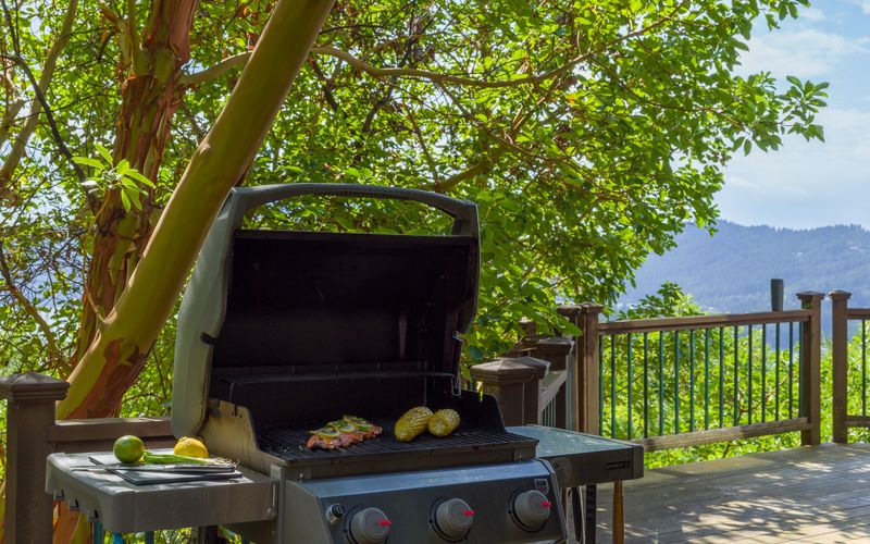 a34635bb cfcd 4828 96d0 e2973703388a homerunner