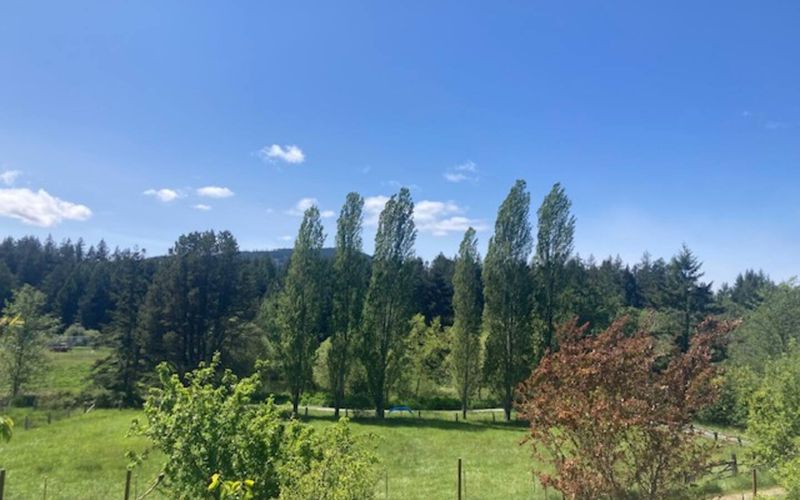 a4d1a031 234c 48f1 91bf b67b8a672af2 homerunner