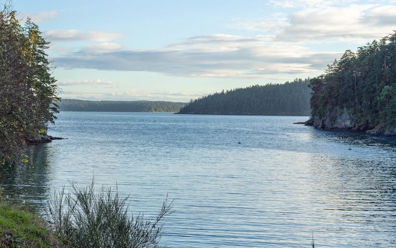 a4f7d78c d44c 4769 9ba0 3ae46c268ad3 homerunner