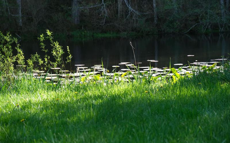 a65543e5 2159 4331 89ff 04c9d21afb0c homerunner