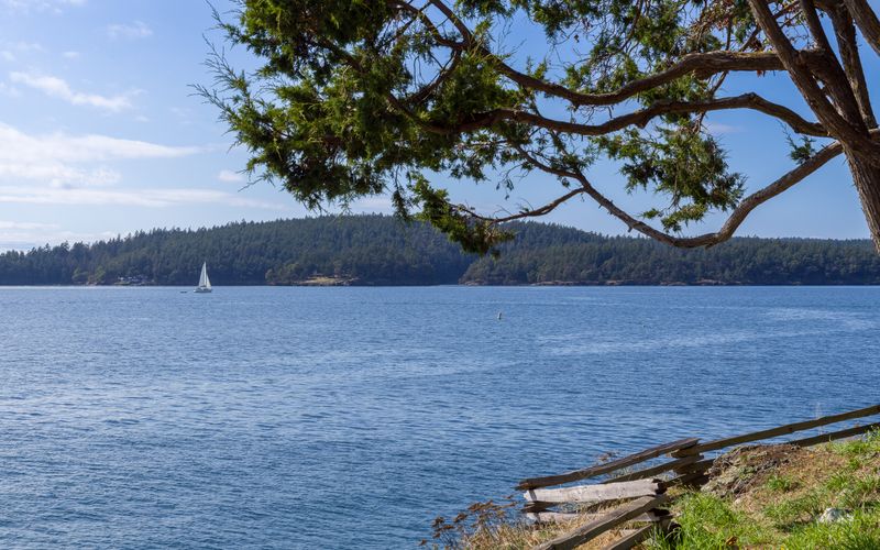 a65a34f0 fb42 41f2 b17e 67f595e71f3d homerunner