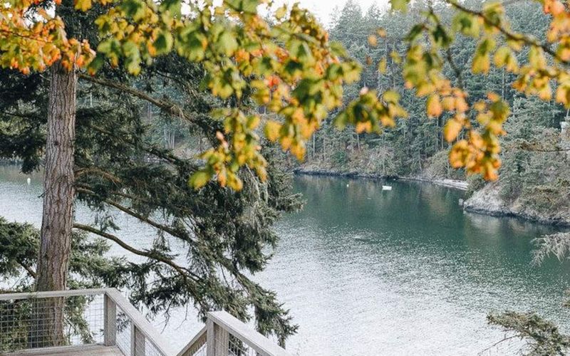 a803048b 412a 4351 9ee0 e12181db9934 homerunner