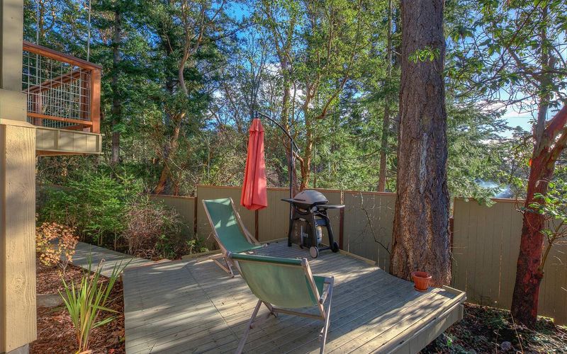 ac4cd13a 97af 4d43 be5f e588f9ecadbe homerunner