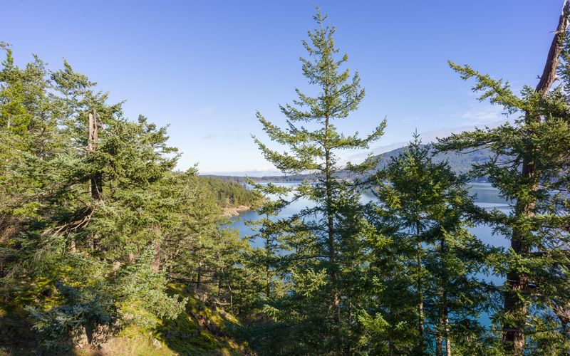 af9d07fa 13ce 4ed5 954e fea8e68df962 homerunner