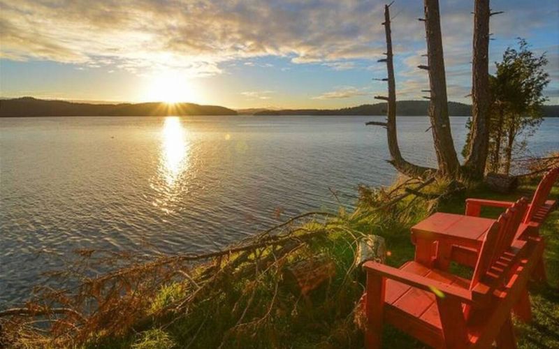 b077bcaa 43a7 4372 80ab 0d1f7d1e53e2 homerunner