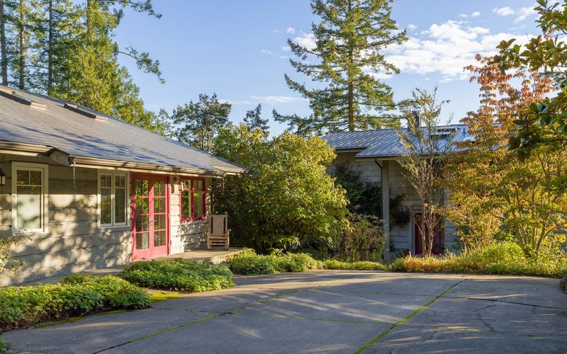 b21e10fa 99f9 4db7 8cf5 767f3164414f homerunner