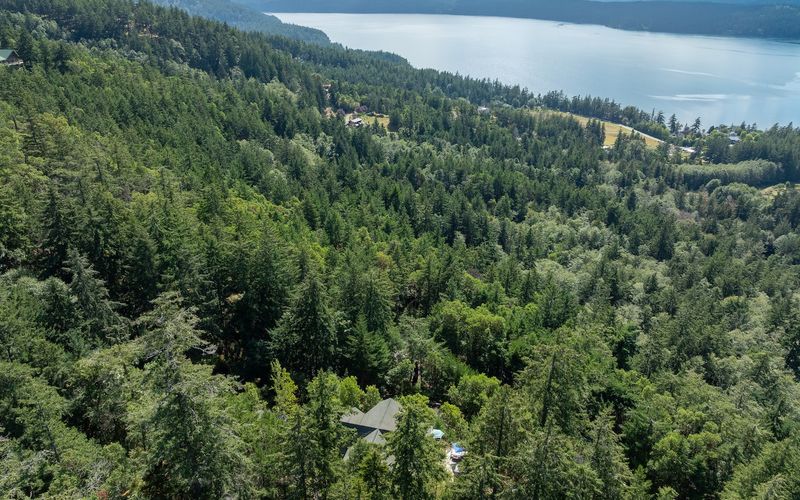 b6ff6e02 9499 4081 8376 b674d7202874 homerunner