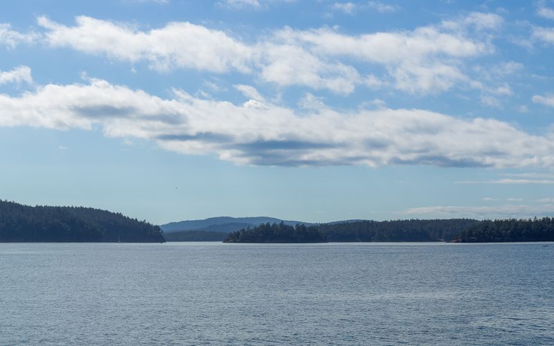 b8c89d50 d613 417b 8363 1c4d156da925 homerunner