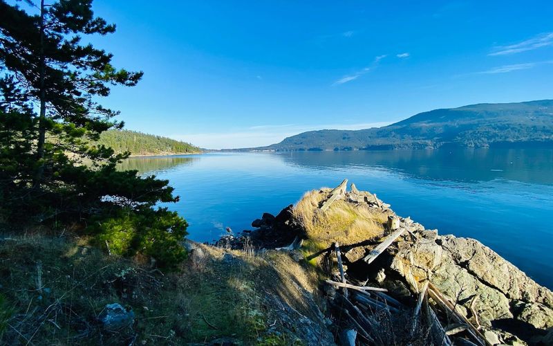 bc26fe6d 7b7b 4611 b9bd db56768702cc homerunner