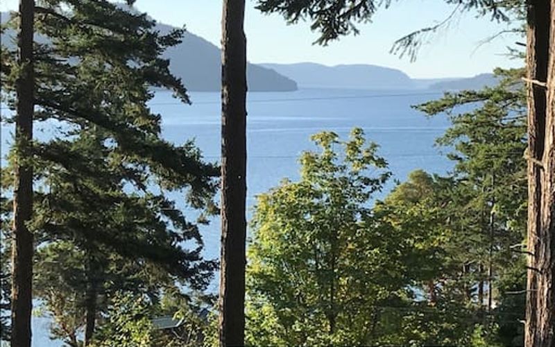 c5956b76 4260 4e68 8530 431b0252076b homerunner