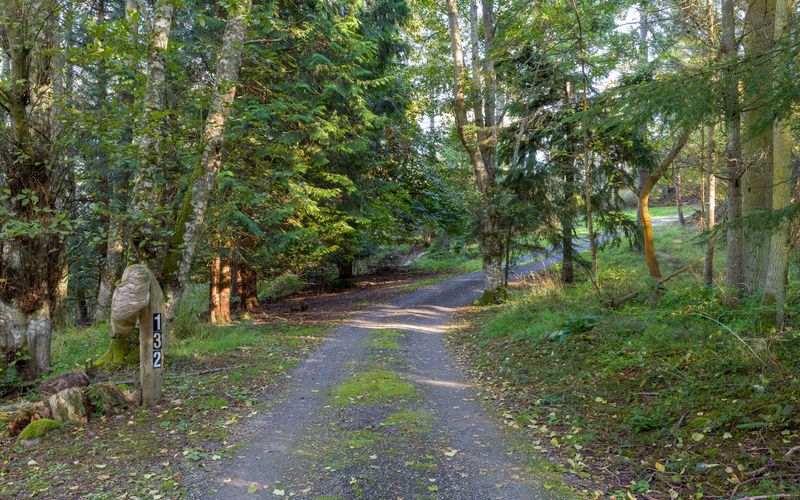 c7f6f2ea 4dd1 47ff bbcf e0a709886552 homerunner