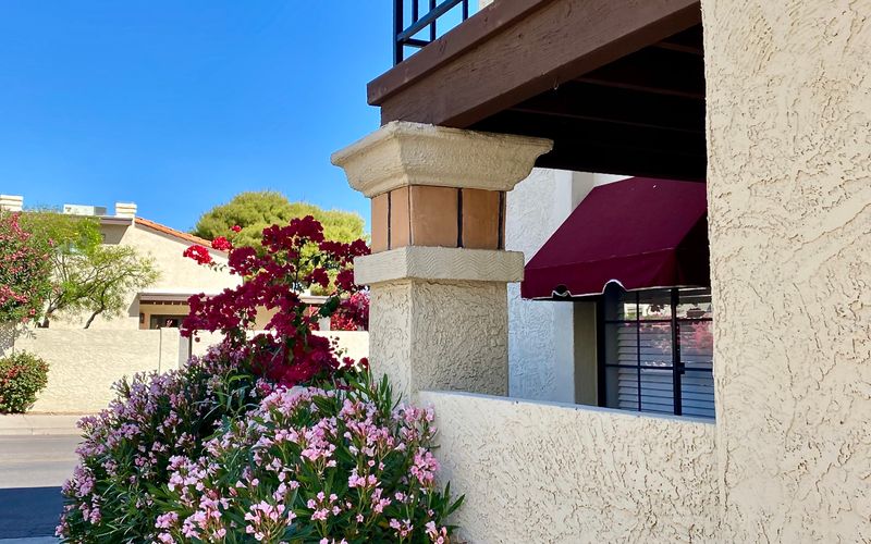 cae23431 ddee 47ce a8b2 0ef593204e44 homerunner