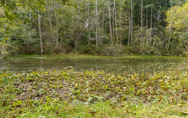 d10d6ff7 f3bd 47aa 9e57 3a58ee2b4f9c homerunner