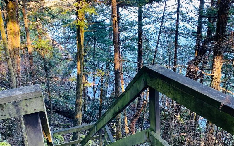 d5ef0c40 6515 409b 9bcb f6d3bfb025a9 homerunner