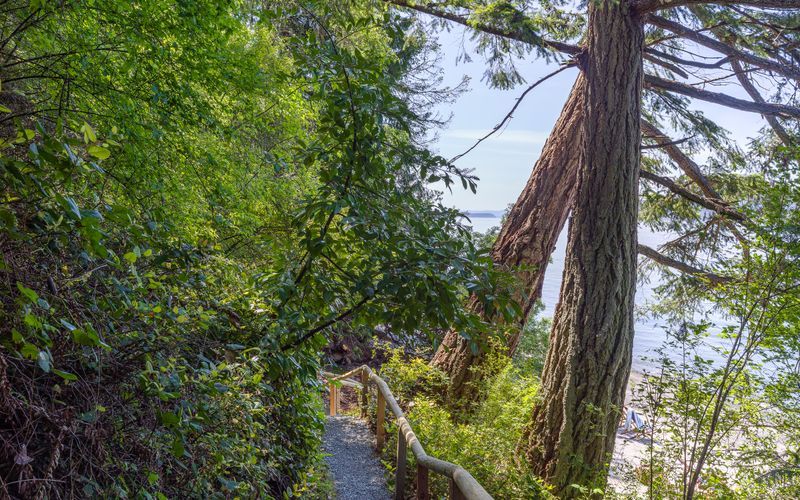 d754d063 815a 49a1 8114 035a931489b9 homerunner