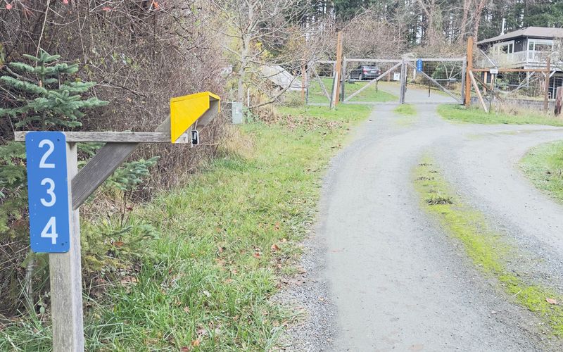 d801488b ee2e 4e80 80c6 9fc6a8b63b0e homerunner