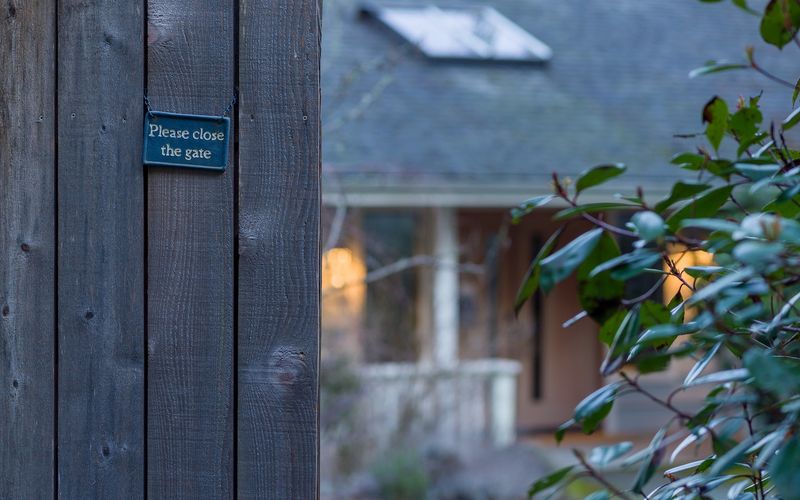 db81d8bf bc72 47bd 9775 e6520e5e4782 homerunner