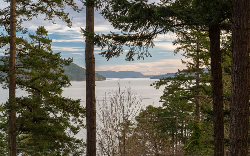 dc446483 5a58 435c 9eaf e051a1fc3034 homerunner