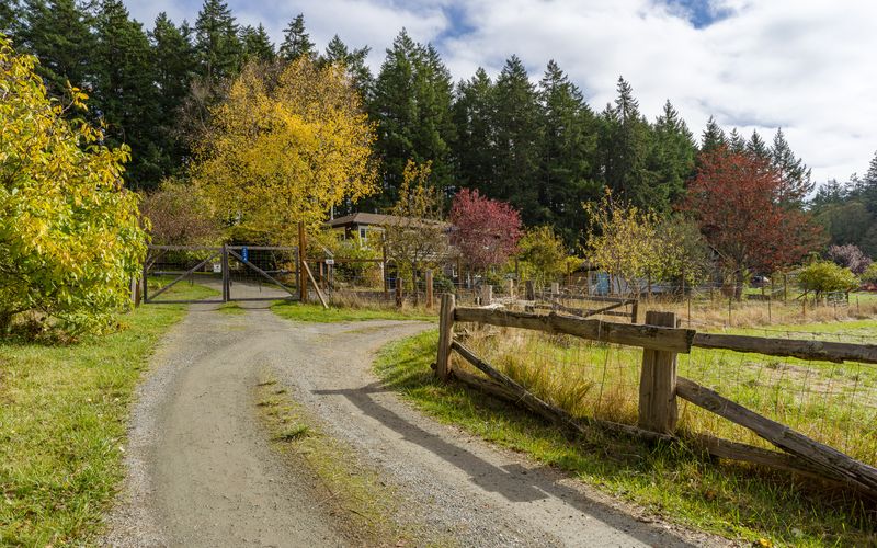 dda2723f 637f 47d7 a0f6 65e10802fb14 homerunner