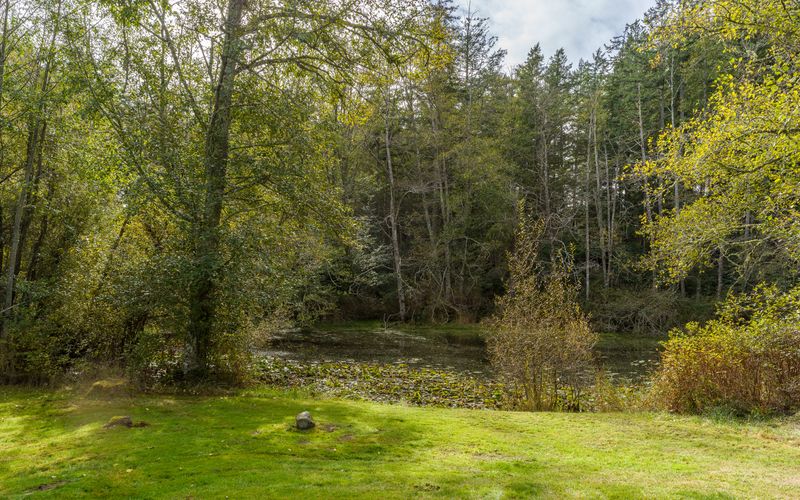 e1cba9e0 b633 4143 ac58 4afee9630aa0 homerunner