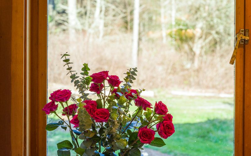 e4955a0d 3d80 4e7e 8115 9abc7a75cc69 homerunner