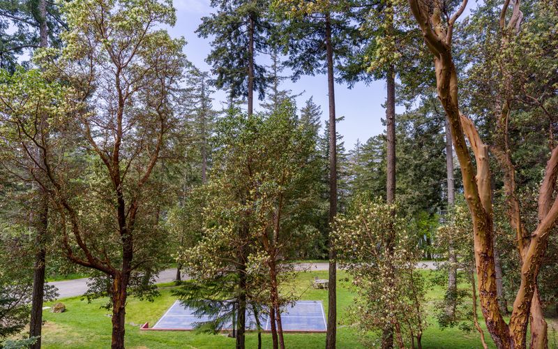 e5aa5b63 133a 49eb 81fe a71766d3d658 homerunner