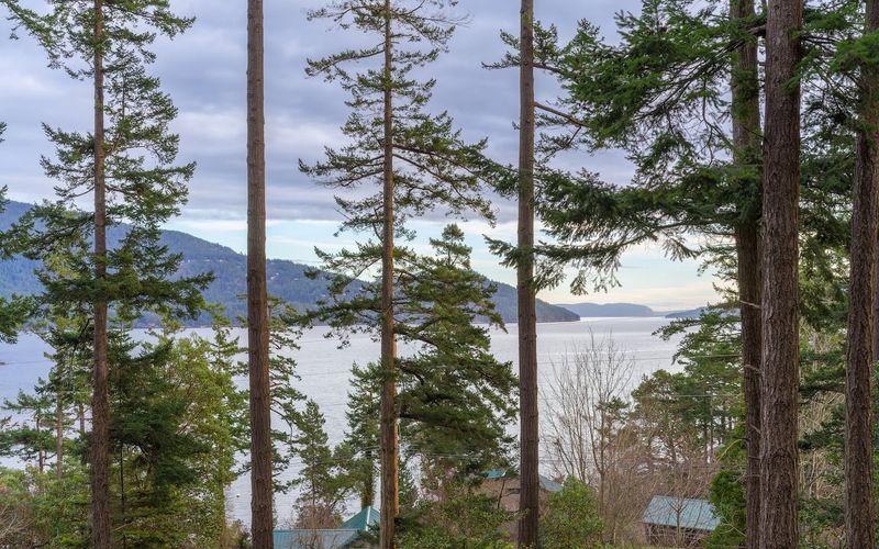 e79b0aef bc87 4218 92e2 1d0107895fab homerunner