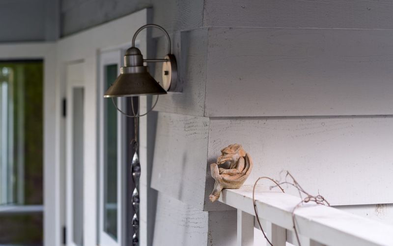 e97af291 d058 4528 a337 7f0baa26f6ac homerunner