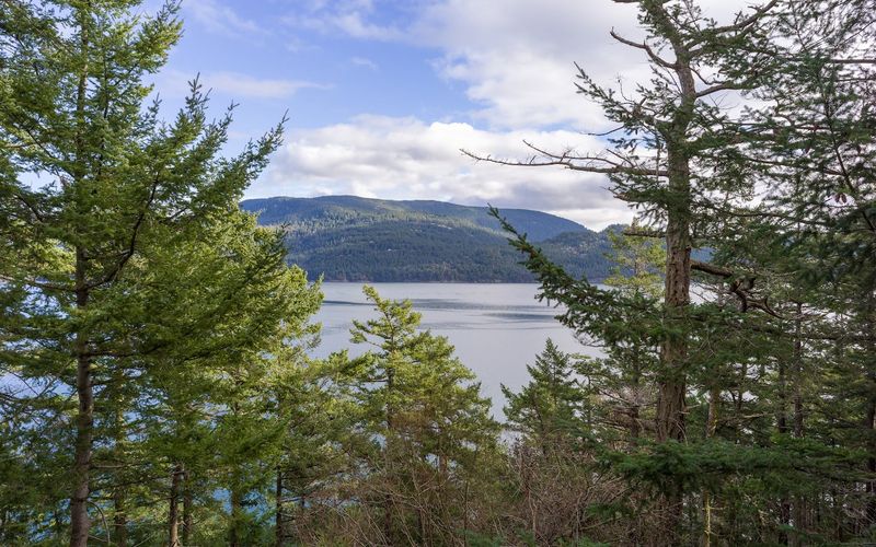 ec00ec8f 2f51 45a7 8d15 2db21fed4368 homerunner