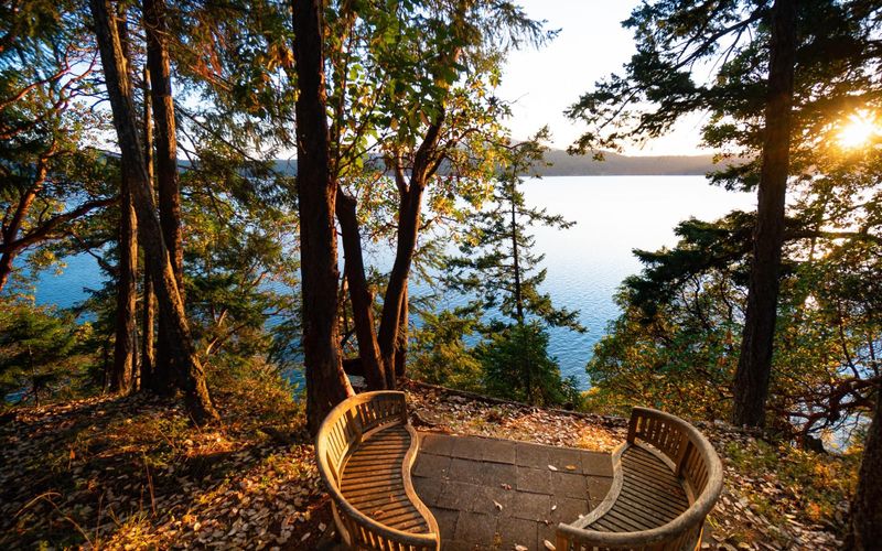 ef82f975 7a88 42dc bbf8 2f435fa92f87 homerunner